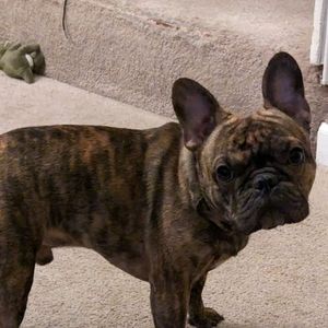 Meet your Posher, Stephen